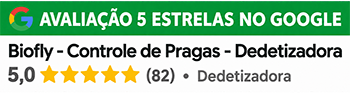 Biofly tem avaliação 5 estrelas no Google para dedetização em Florianópolis Biofly tem avaliação 5 estrelas no Google para dedetização em Florianópolis