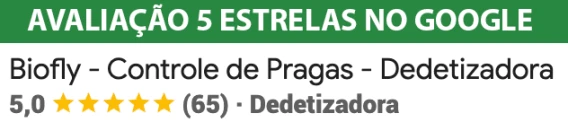 Biofly tem avaliação 5 estrelas no Google para dedetização em Florianópolis